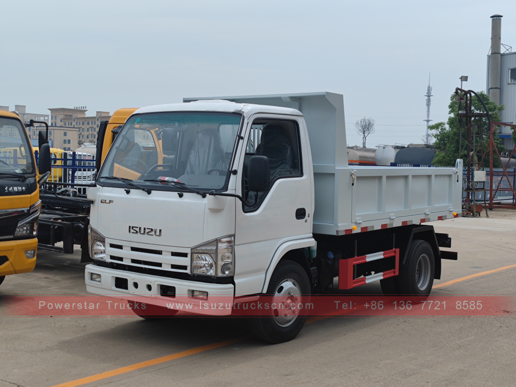 Philippines Xe ben 6 bánh ISUZU 4X2 2T 3T 5T ​​Xe tải chở hàng mini Tipper để bán