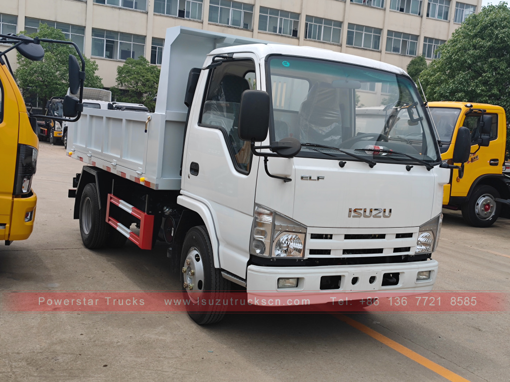 Philippines Xe ben 6 bánh ISUZU 4X2 2T 3T 5T ​​Xe tải chở hàng mini Tipper để bán