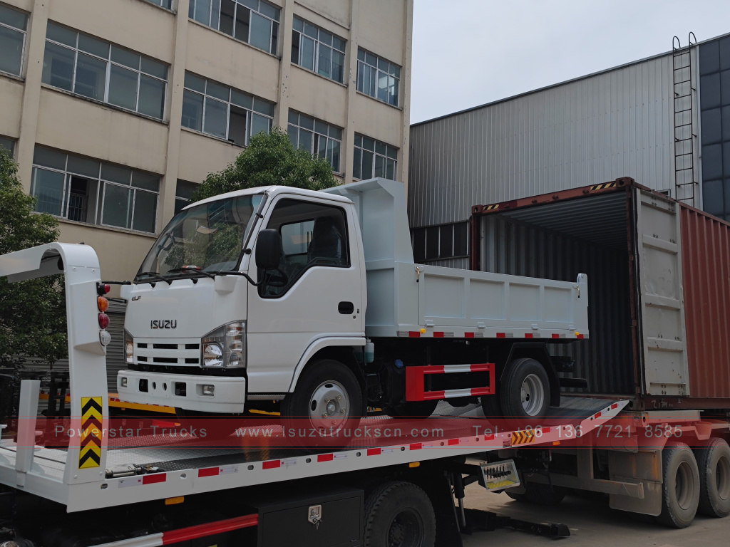 Philippines Xe ben 6 bánh ISUZU 4X2 2T 3T 5T ​​Xe tải chở hàng mini Tipper để bán