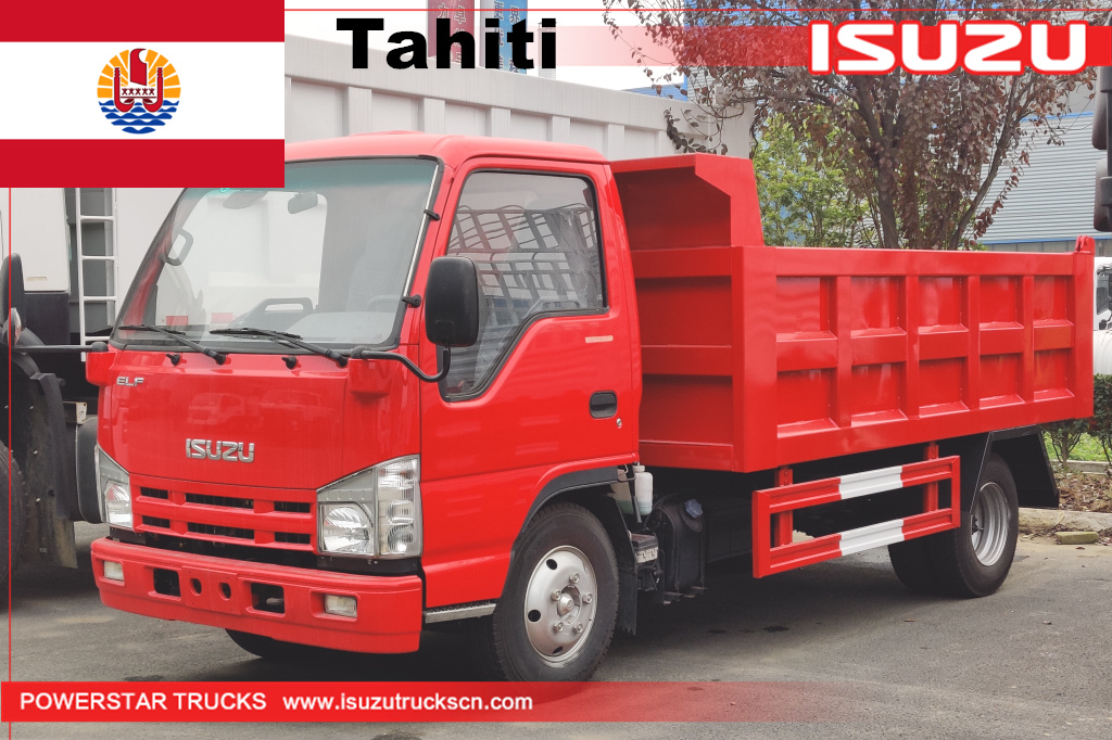 Tahiti - 1 chiếc ISUZU Xe ben tự đổ mini elf
    