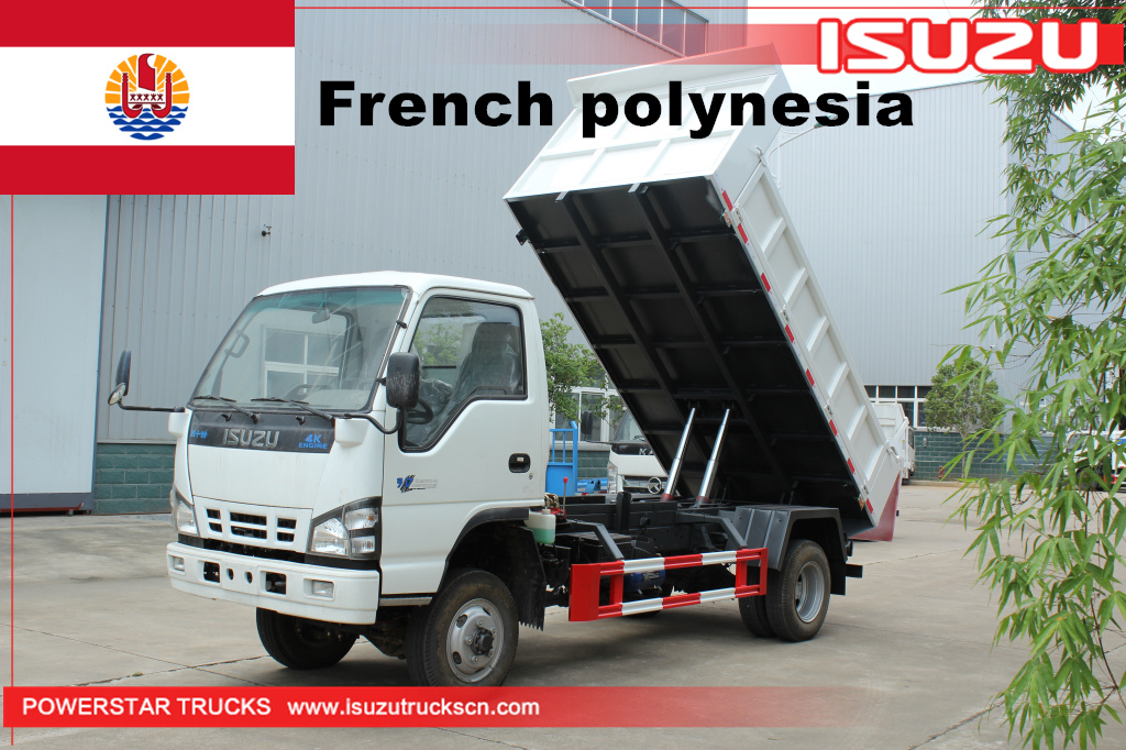 Polynesia thuộc Pháp - 1 chiếc Xe ben ISUZU NKR 4*4
    